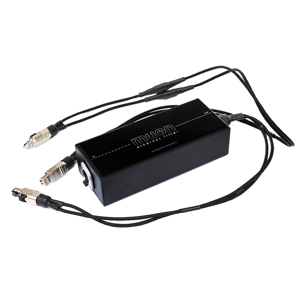 muon Streaming System